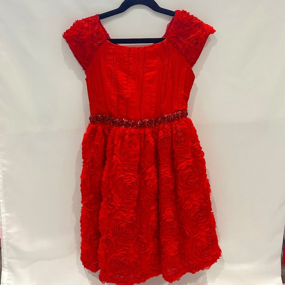 Red Rose Dress